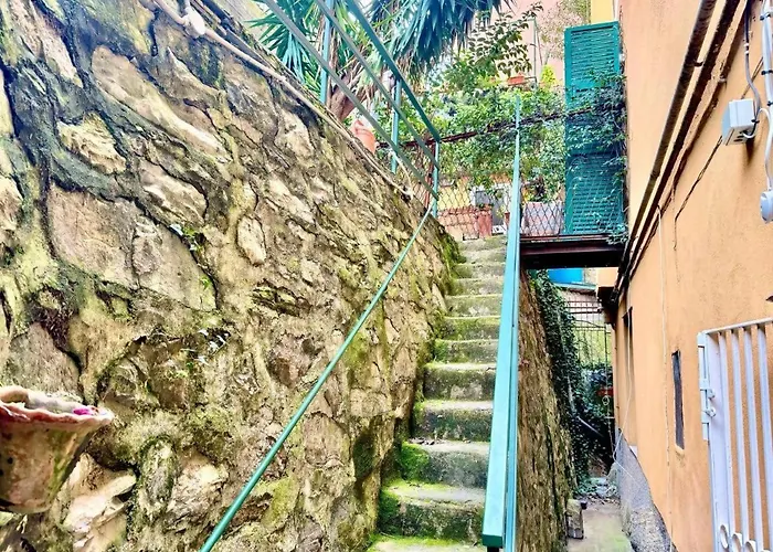 Garden San Martino To Boccadasse * Janov